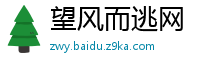 望风而逃网
